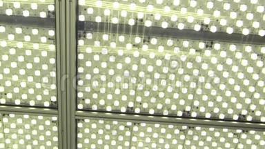 科学室实验室用灯泡或闪光灯照明的实验室照明灯，持续科学